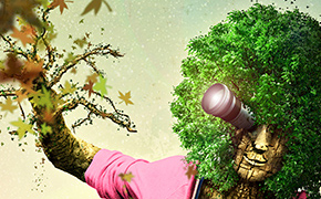 Festival du film - 2008