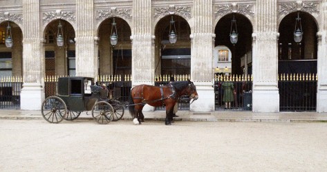 01-fiacre_palais_royal_jardin