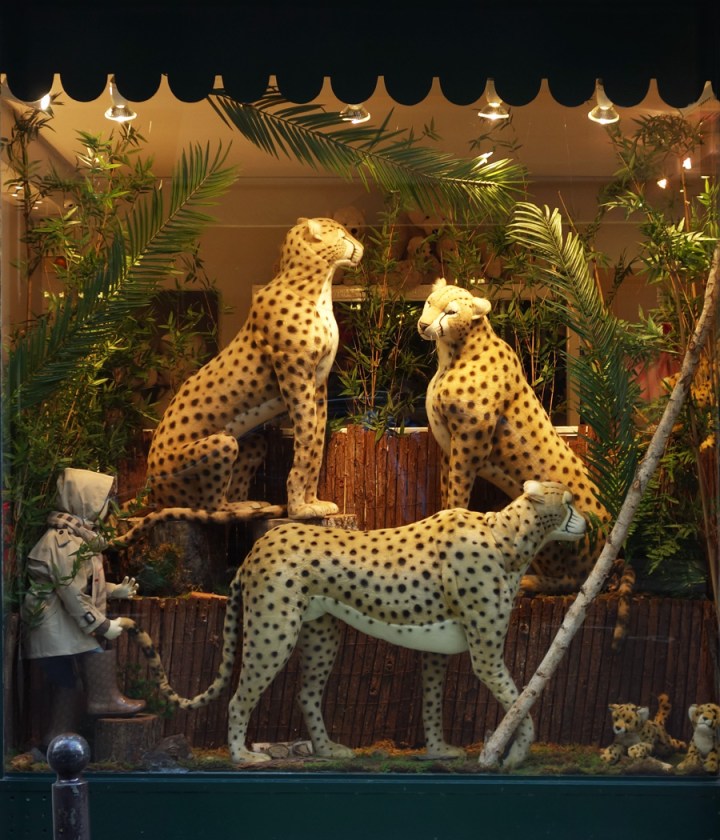 Baby-Tuileries-Vitrine-Noel-2012-Leopards-1
