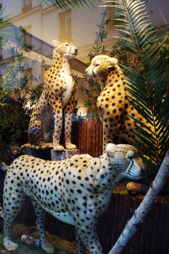 Baby-Tuileries-Vitrine-Noel-2012-Leopards-3