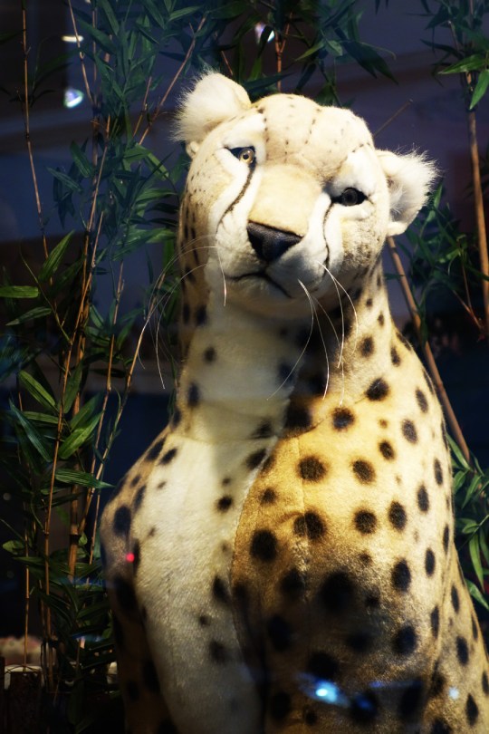 Baby-Tuileries-Vitrine-Noel-2012-Leopards-4