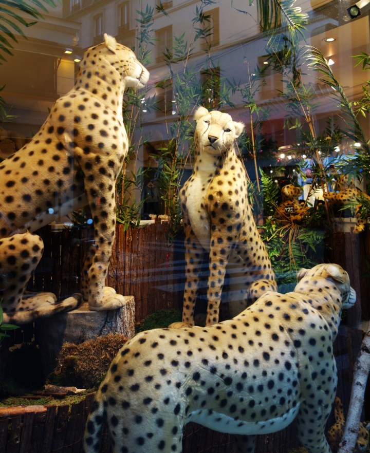 Baby-Tuileries-Vitrine-Noel-2012-Leopards-6