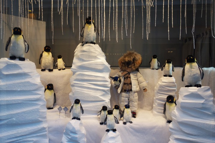 Baby-Tuileries-Vitrine-Noel-2012-Pingouins-2