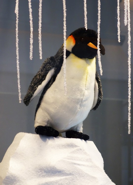 Baby-Tuileries-Vitrine-Noel-2012-Pingouins-4