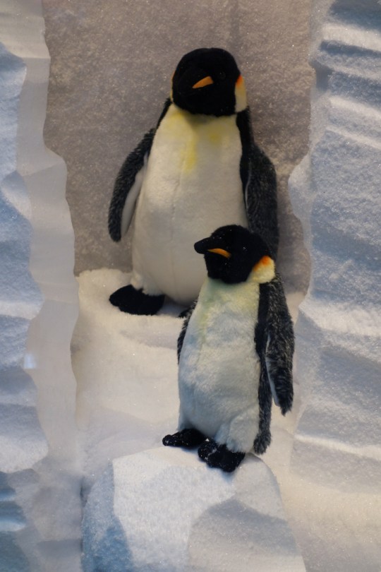 Baby-Tuileries-Vitrine-Noel-2012-Pingouins-5