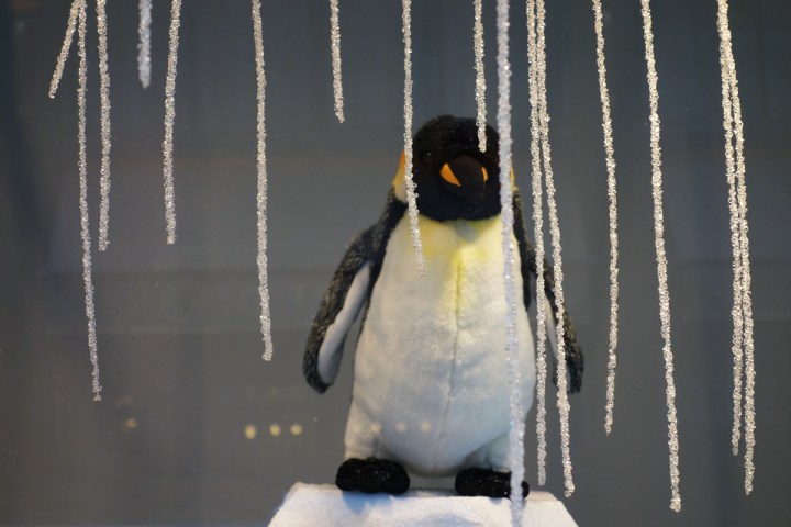 Baby-Tuileries-Vitrine-Noel-2012-Pingouins-6