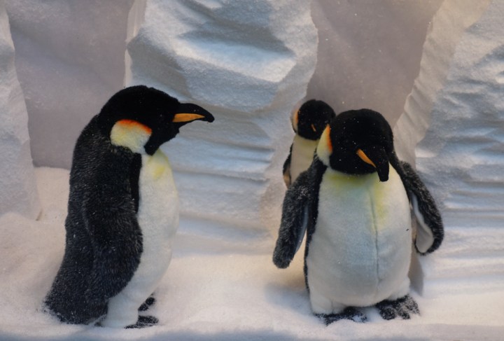 Baby-Tuileries-Vitrine-Noel-2012-Pingouins-7