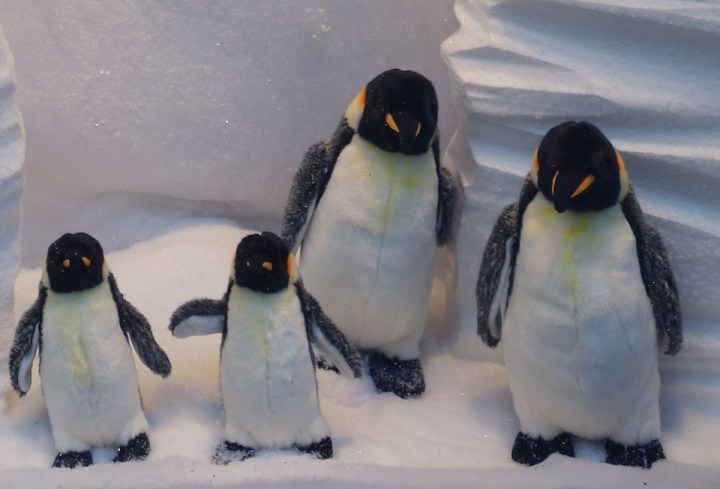 Baby-Tuileries-Vitrine-Noel-2012-Pingouins-8