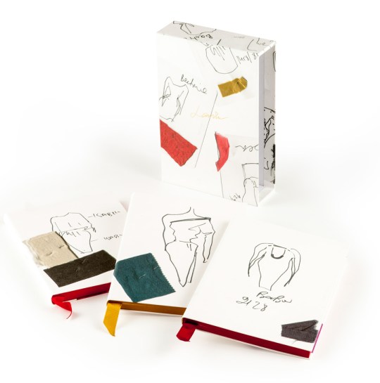 Lanvin-noel-2012-10-ans-Carnets