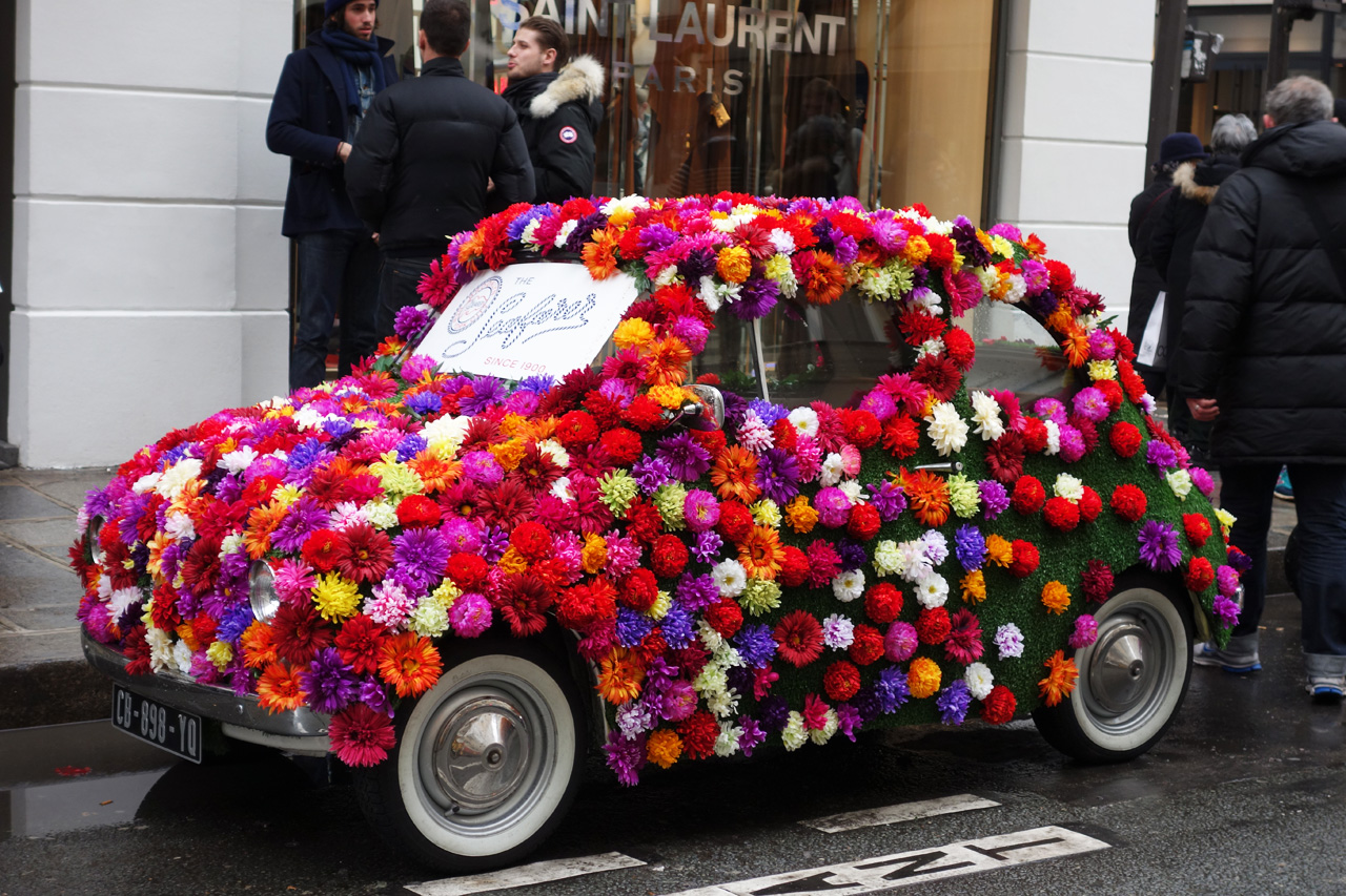 Fiat-fleurie-Colette-2