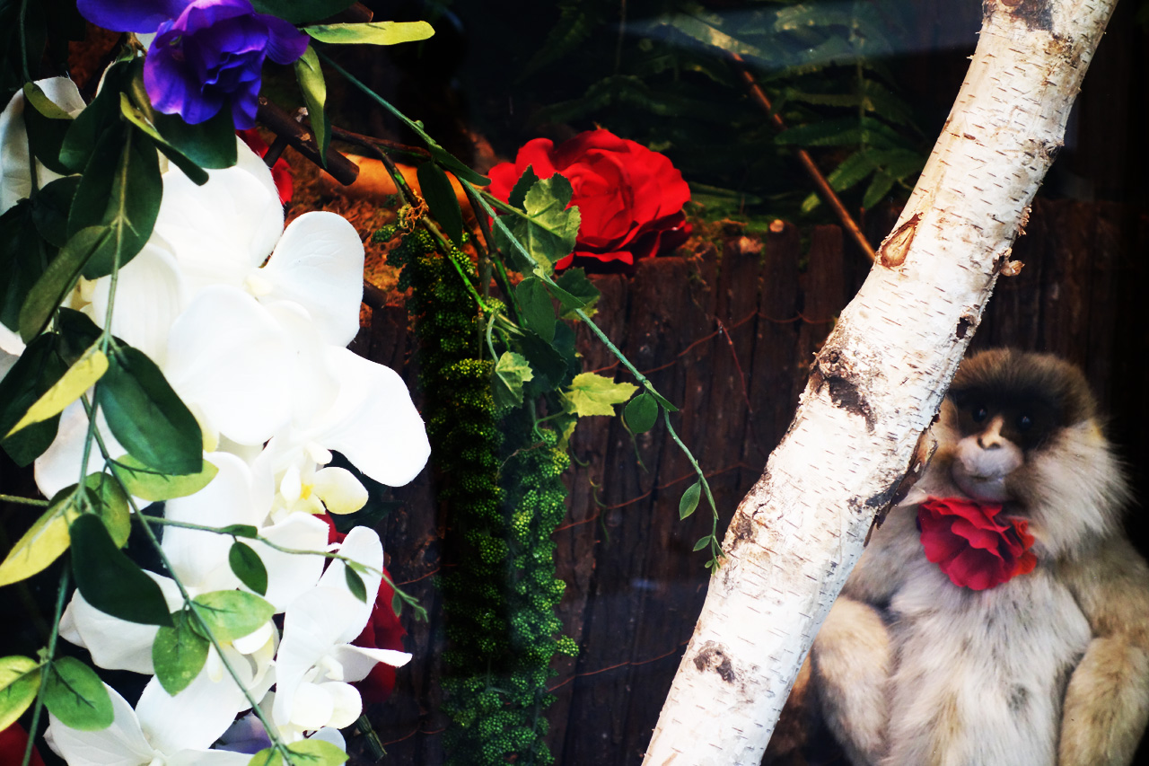 Baby-Tuileries-Spring-2013-07