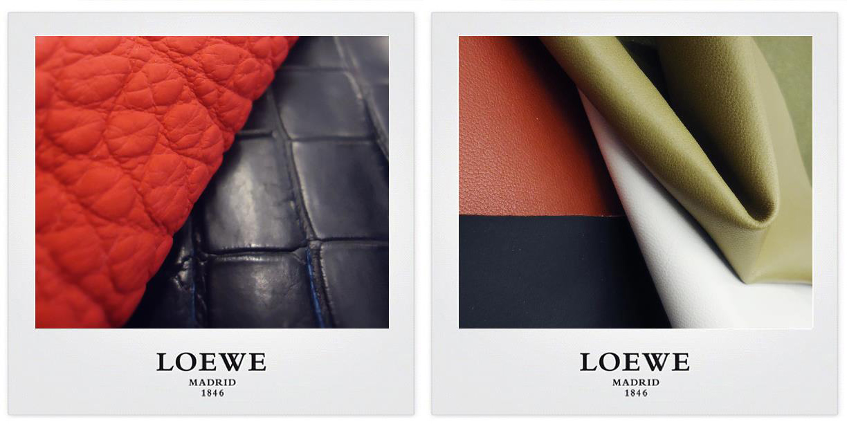 LOEWE-preparation-collection-matieres