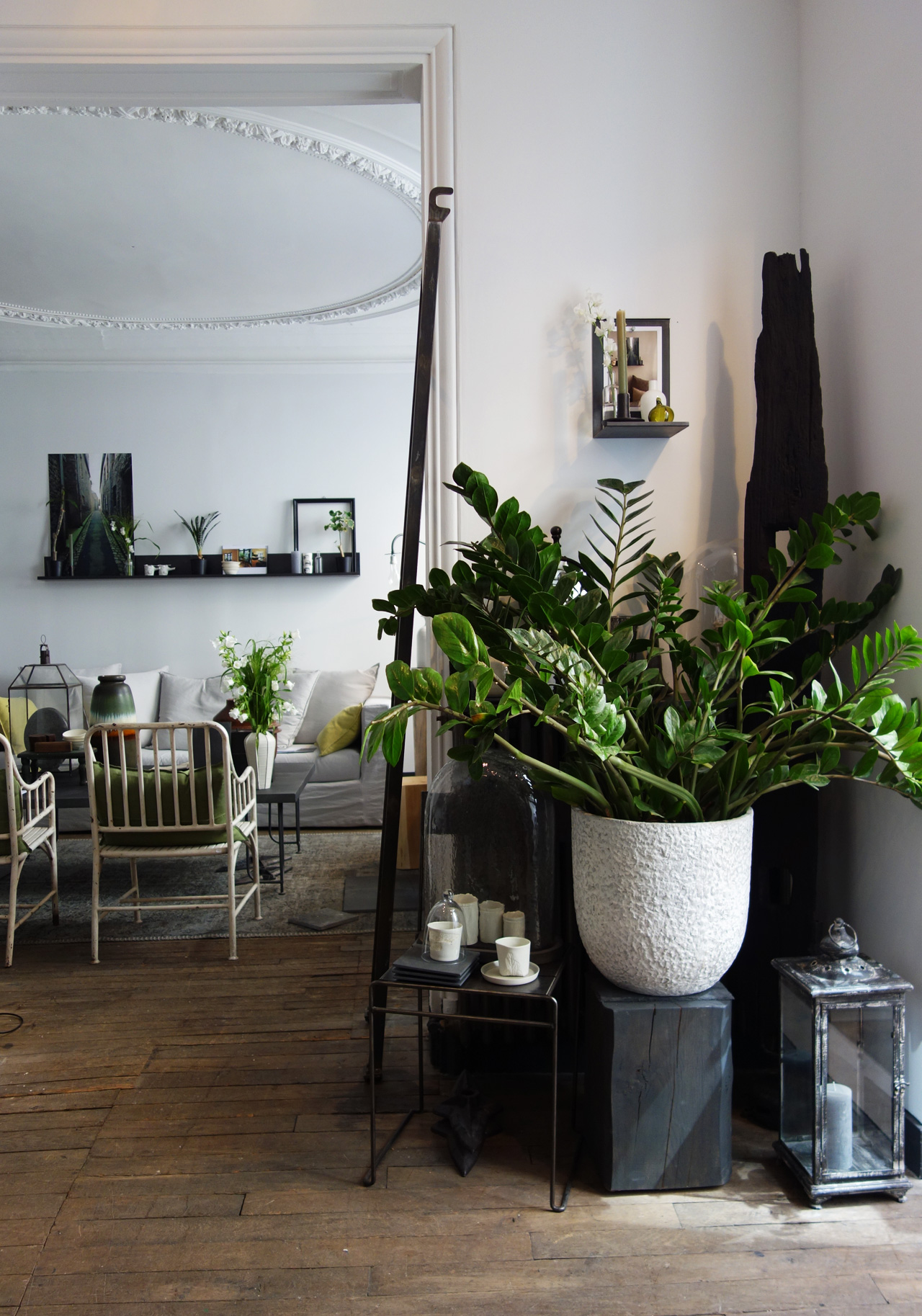 David-Gaillard-Les-Curieuses-deco-accueil