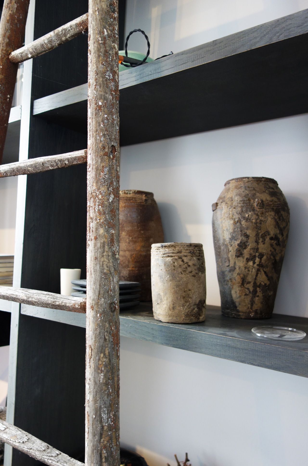 David-Gaillard-Les-Curieuses-deco-echelle