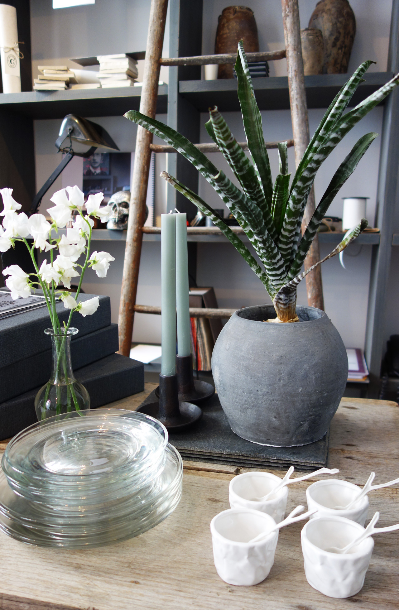 David-Gaillard-Les-Curieuses-deco-vaisselle-2