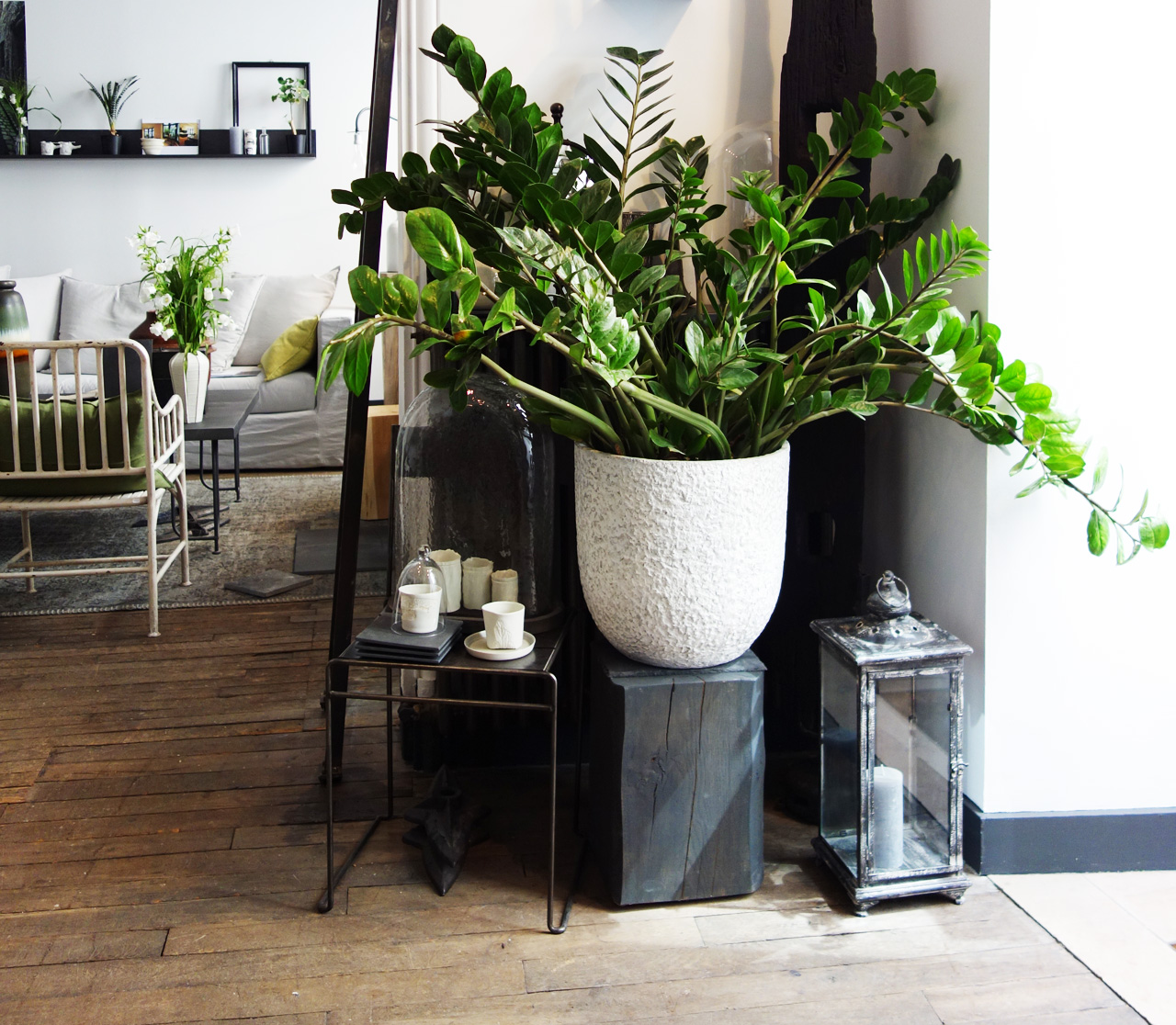 David-Gaillard-Les-Curieuses-deco-boutique-entree
