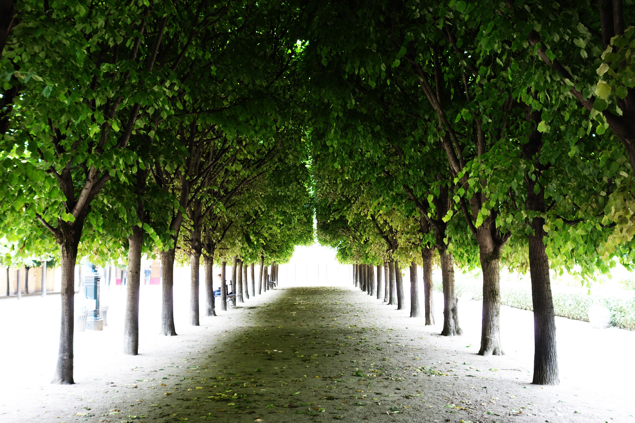 petanque-Palais-Royal-00