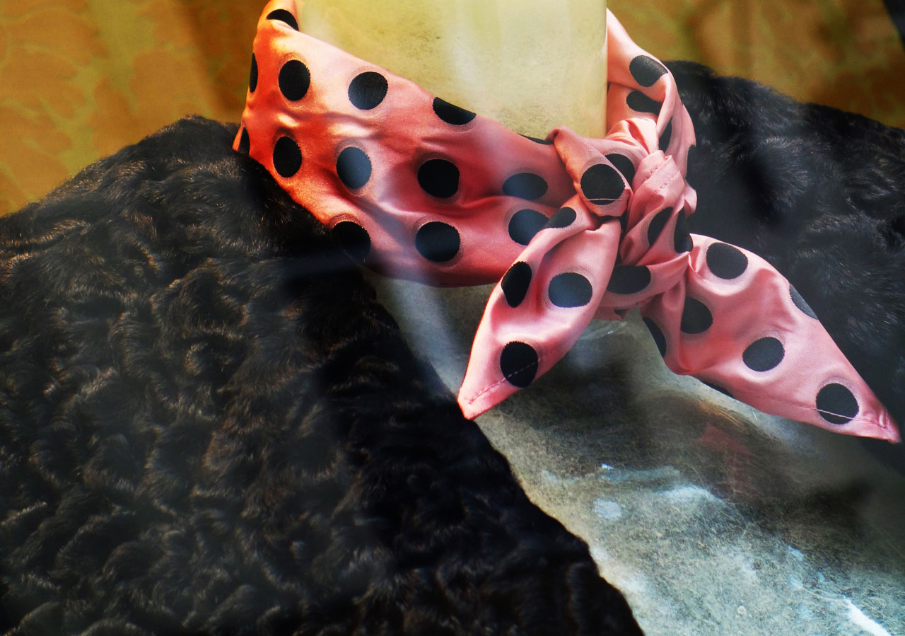 Miu Miu Paris vitrine