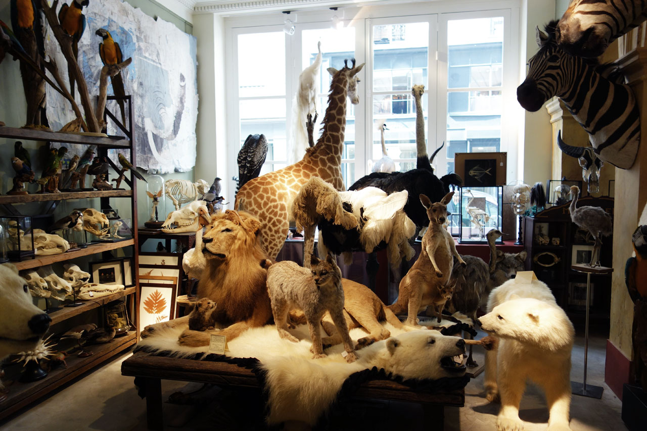 Design et Nature Paris rue d'Aboukir