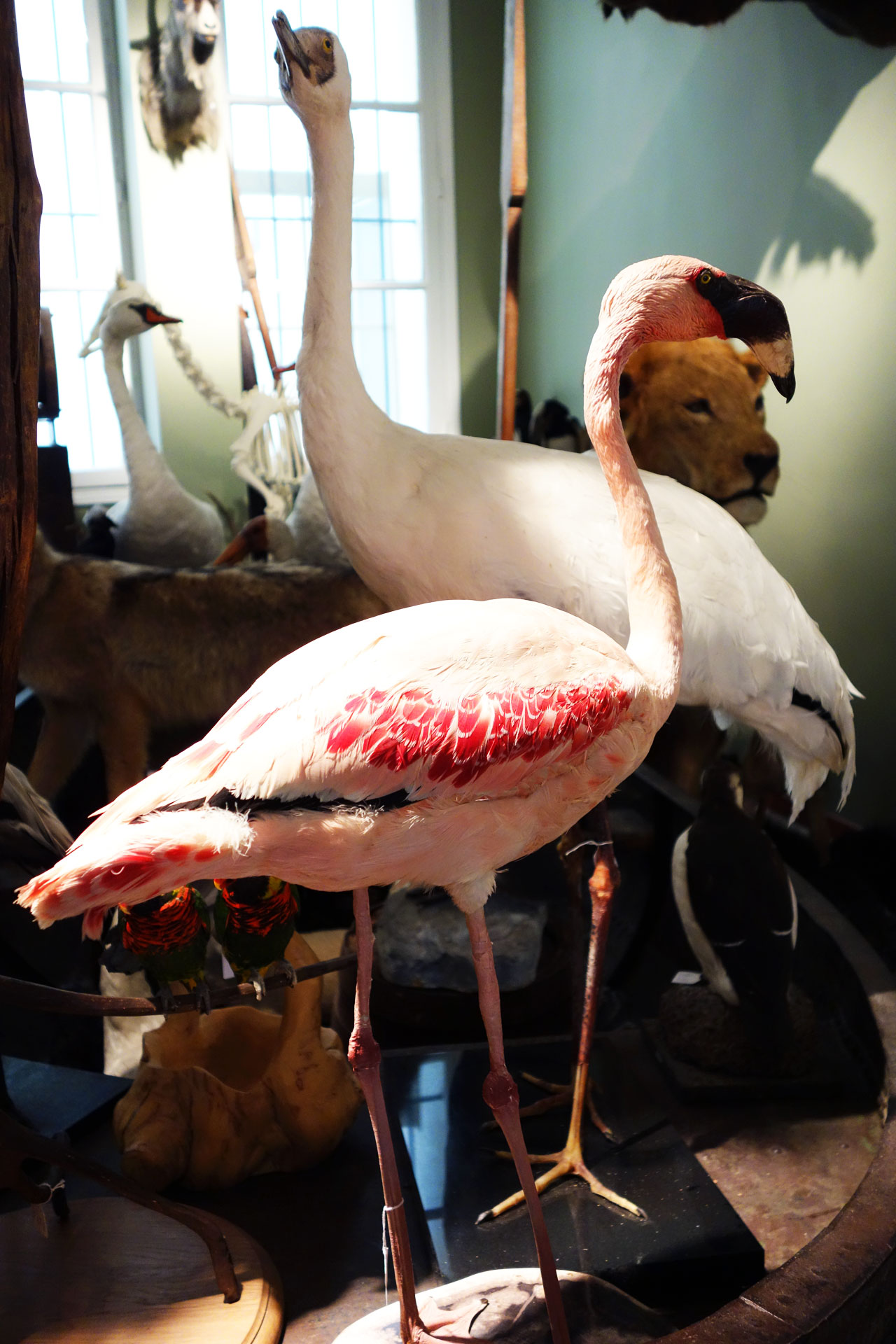 Design et Nature Paris rue d'Aboukir