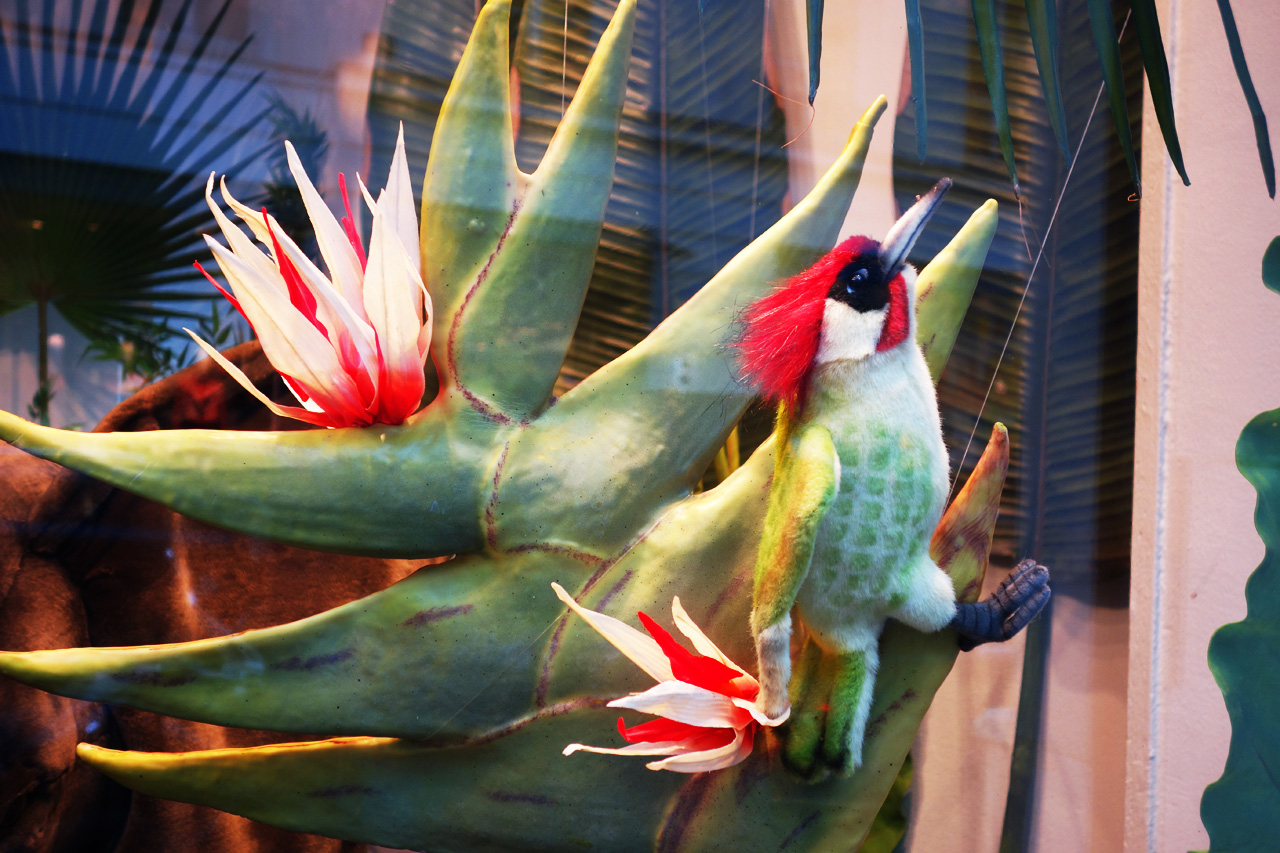 Baby-Tuileries-vitrines-noel-2013-jungle-oiseau