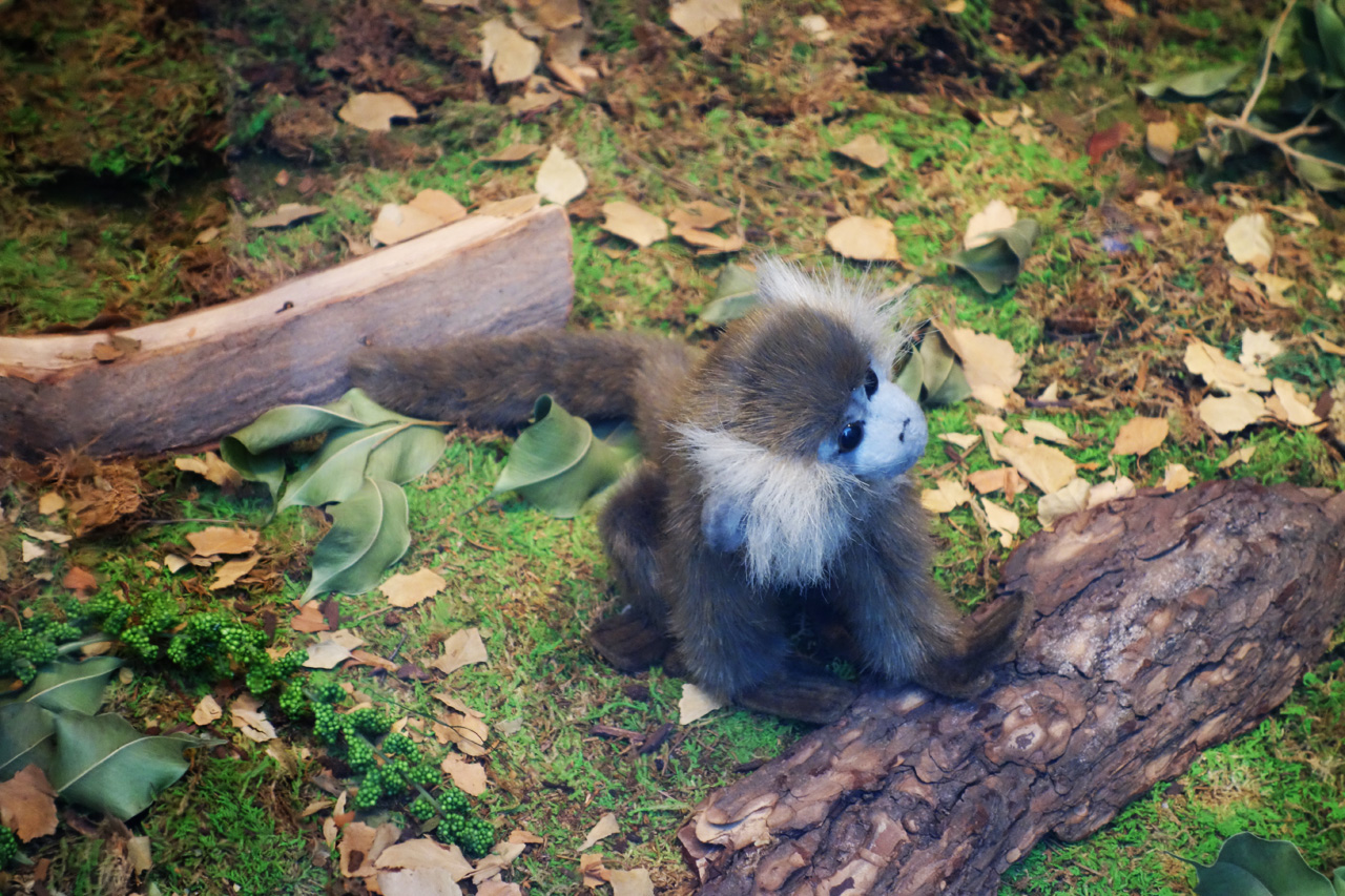 Baby-Tuileries-vitrines-noel-2013-jungle-ouistiti