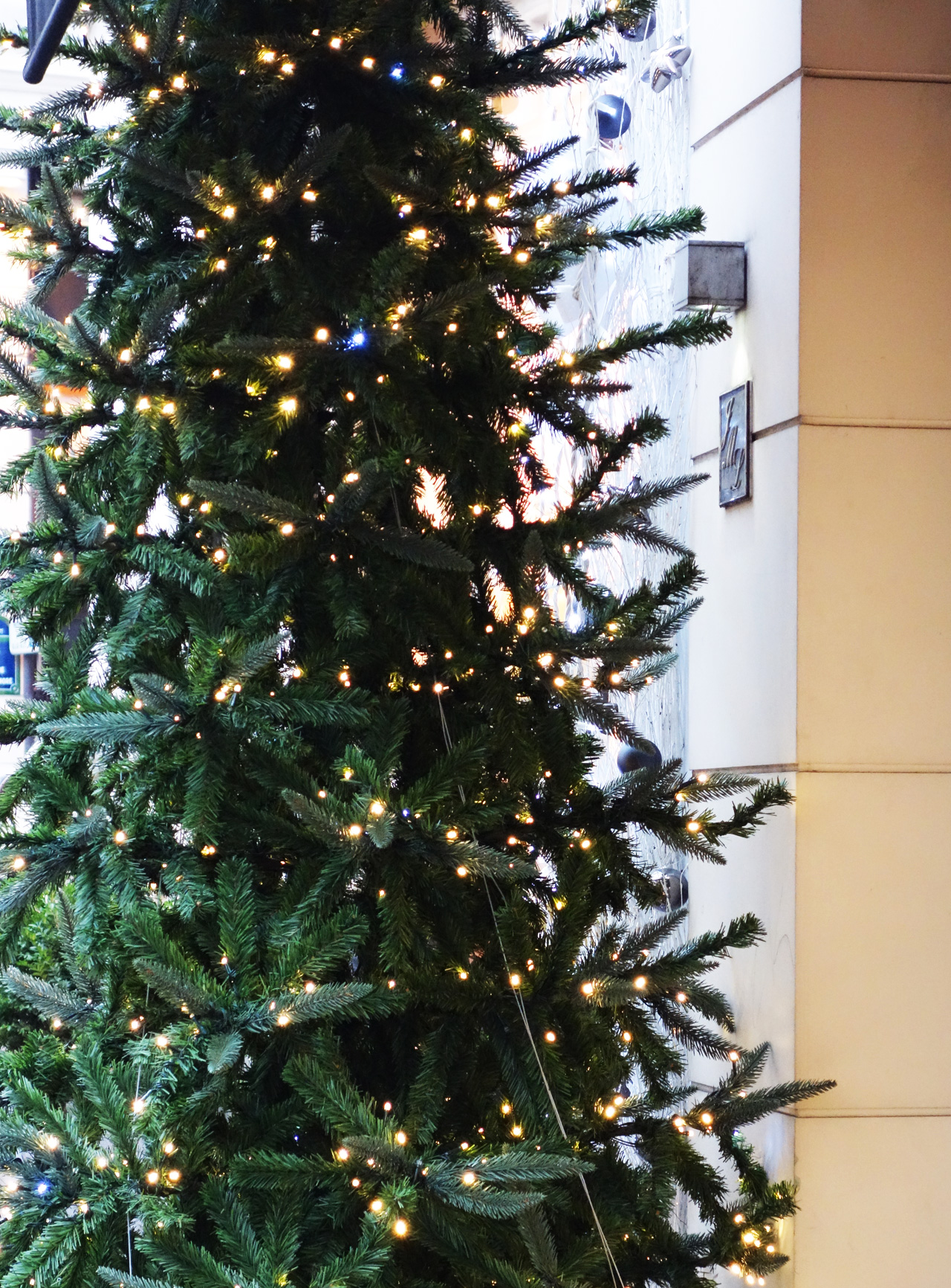 Jo-Malone-vitrine-noel-2013-sapin