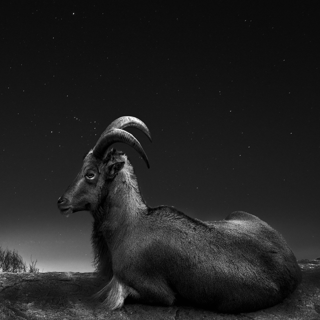 Noah-Vanderveer-Cosmos-01