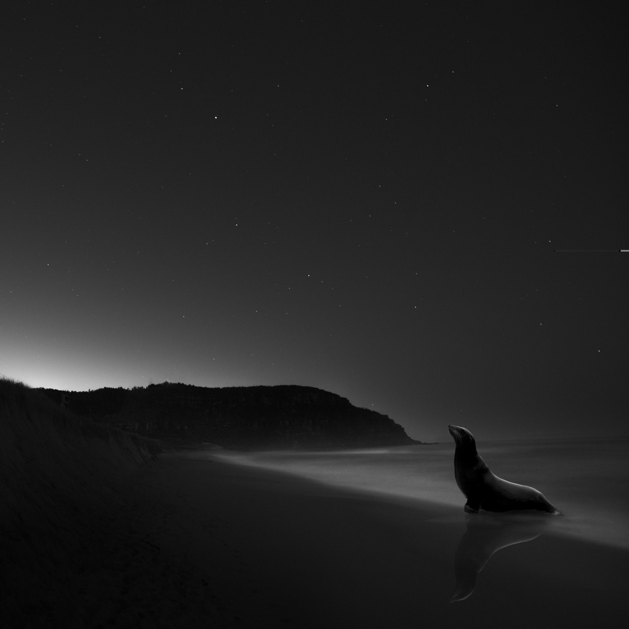 Noah-Vanderveer-Cosmos-02