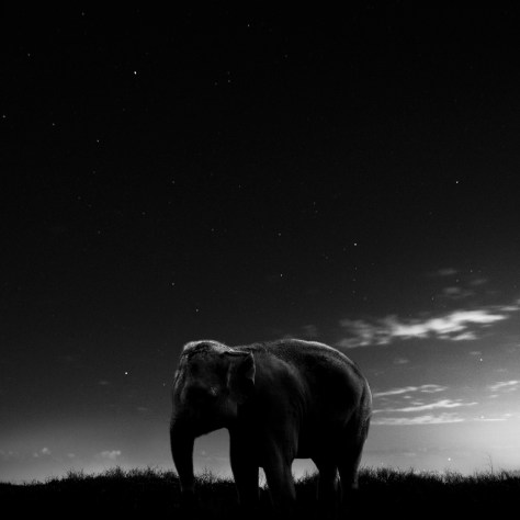 Noah-Vanderveer-Cosmos-04