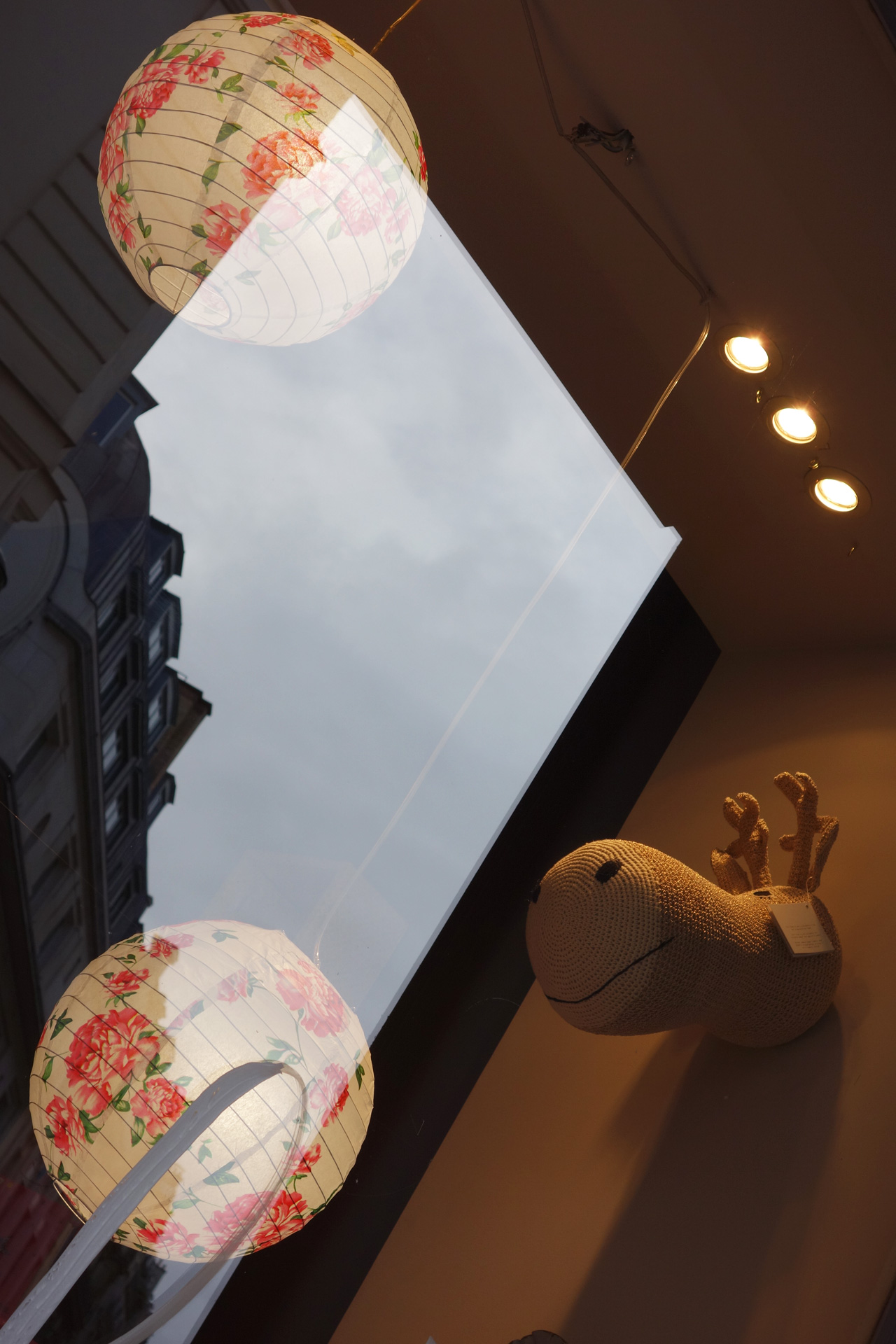 Pois-plume-vitrine-01