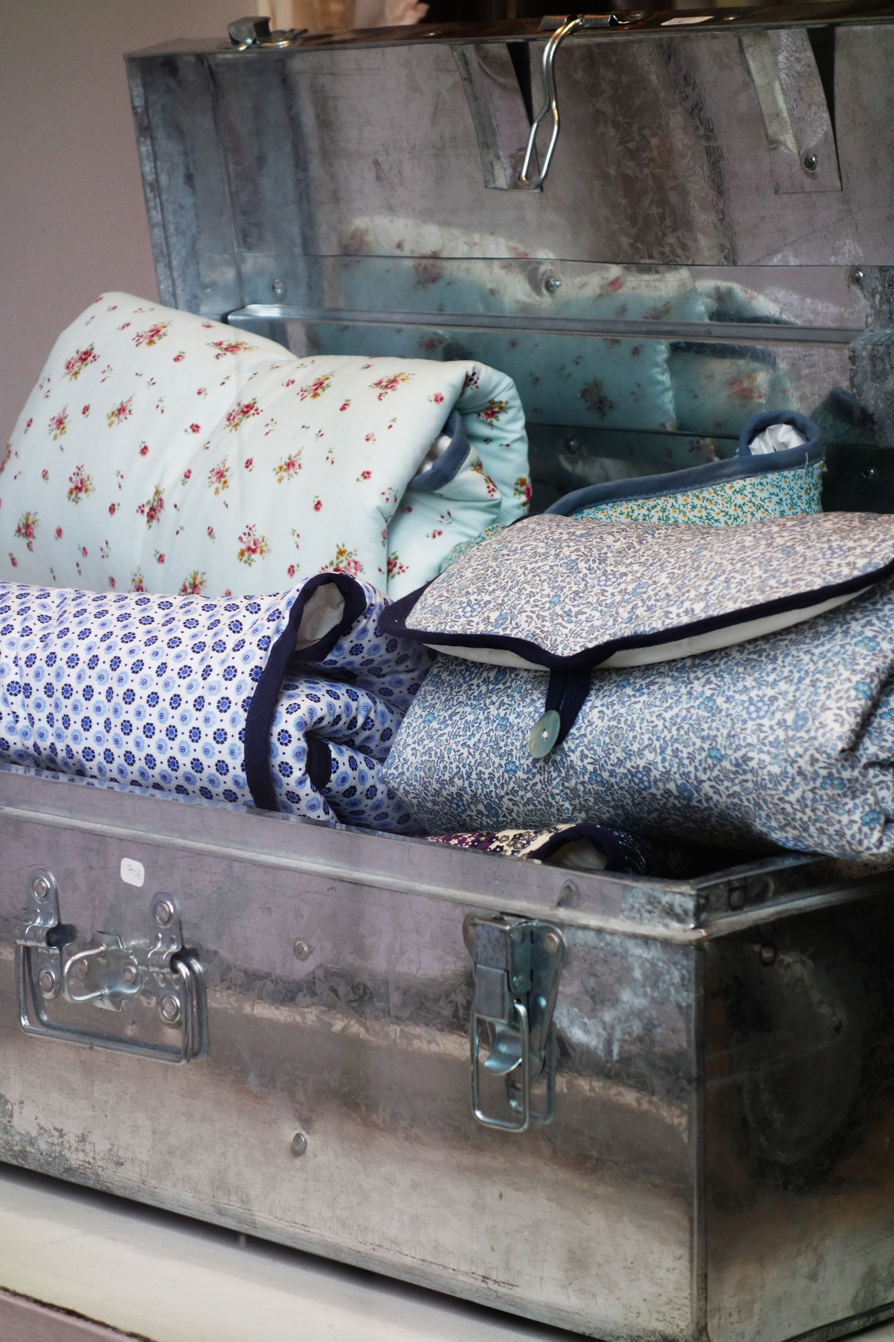 Pois-plume-vitrine-02