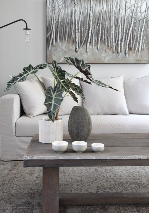 Salon-David-Gaillard-par-Sandrine-Fournier-7