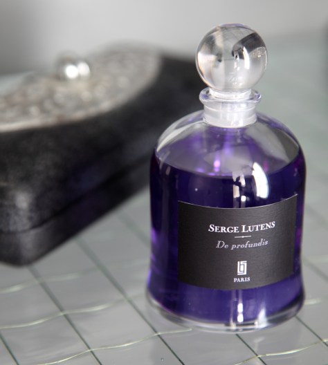 David-Gaillard-par-Sandrine-Fournier-089