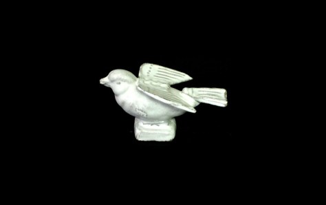Astier-de-villatte-oiseau