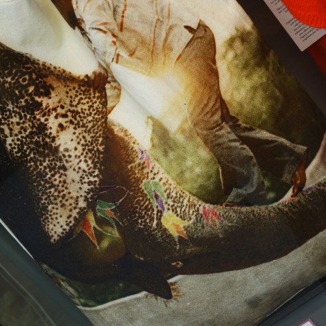 fragonard-elephant-1